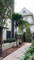 10 Evelyn (D11), Apartment #357475231